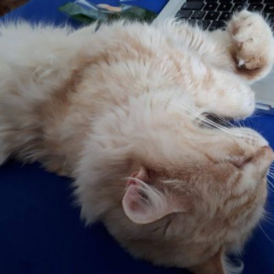 userfiles/465/QXI6DynFFJibMKBEUBSgjAiMIRTgjSSW65ALjfQx.jpeg