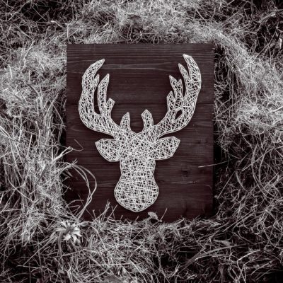 userfiles/79/flrJbCpFdKXkhLqFyJkscqgGApVP9GXmtFgjQl8u.jpeg