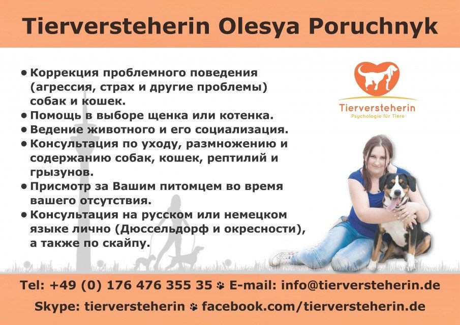Личная консультация в Дюссельдорфе 